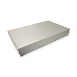 CAIXA PRATA 10 - 51X33X7CM C/1 UN