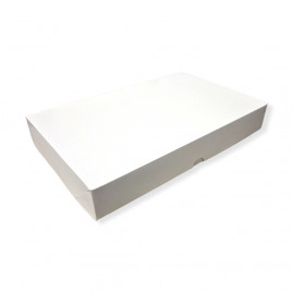 CAIXA BRANCA 09 - 37,5X24X5,5CM C/1 UN